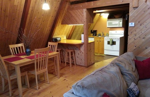 Sylva Cabin | A-FRAME LOG CABIN IN THE WOODS! -WIFI, NEW HOT TUB, CREEK, VIEWS, FIRE PIT!
