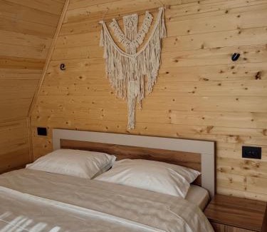Issyk-Kul Region House | A-frame village