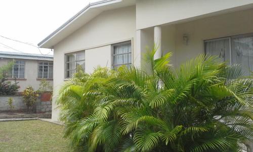 Whitehall House | A Home Away from Home