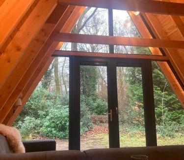 Norg House | A-huis in het bos van Drenthe