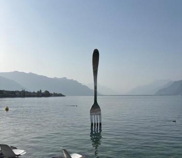 Vevey Apartment | A room in the heart of Vevey's old town