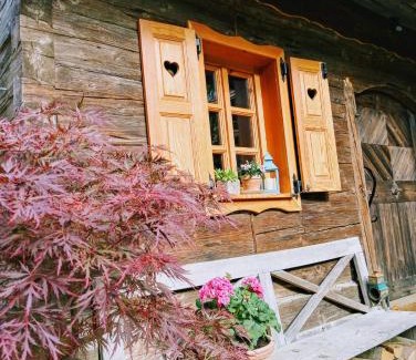 Kamnik Apartment | ABC apartments