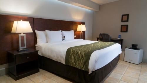 Condado Hotel | Abitta Condado by IHG - Independent SPHC