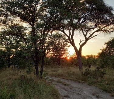 Maun Other | Acacia Camp