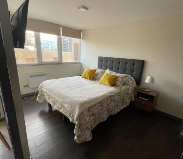 Concepcion Apartment | Acogedor y Céntrico Depto 1D 1B