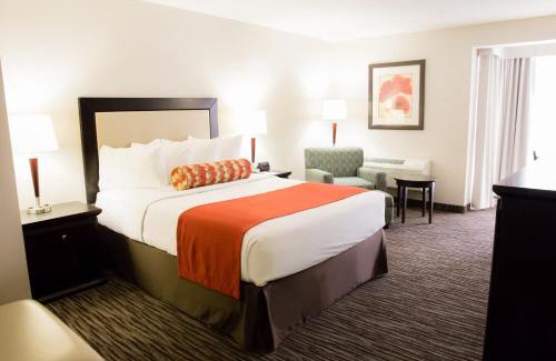 Hamilton Hotel | Admiral Inn Hamilton
