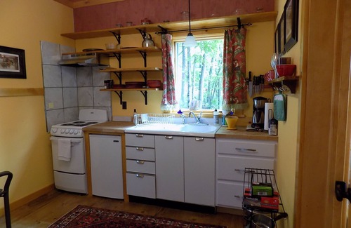 North River Cabin | ADORABLE NEW CABIN WITH AMAZING MOUNTAIN VIEWS