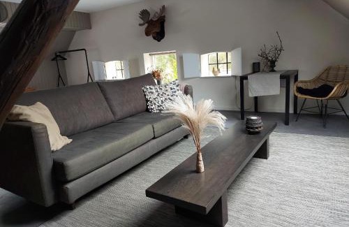 Appelscha Bed & Breakfast | Aekingahof
