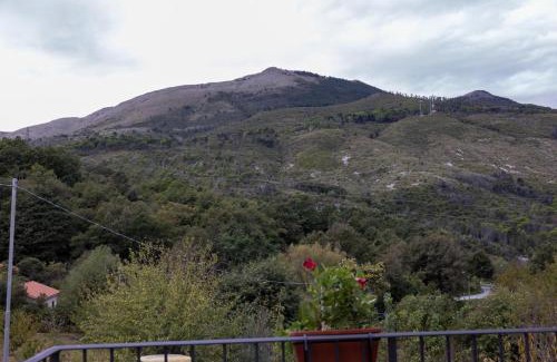 Papasidero House | Affittacamere del Romito B&B