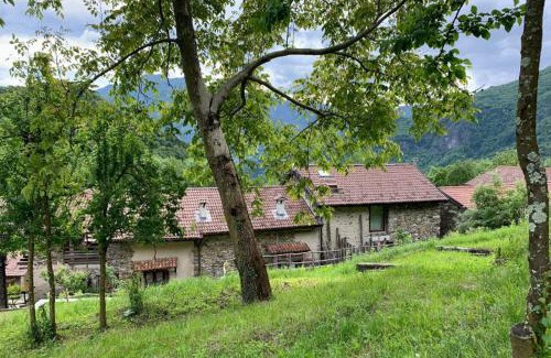 Varallo House | Affittacamere Montagne Verdi