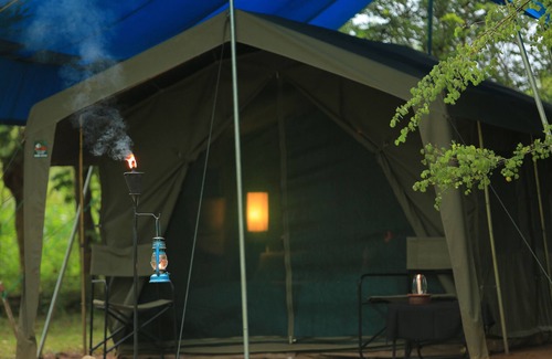 Tissamaharama RV Rental | Affordable Glamping bordering Yala National Park