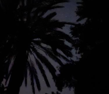 Aqesri Other | Afra Camp - Paradise Valley