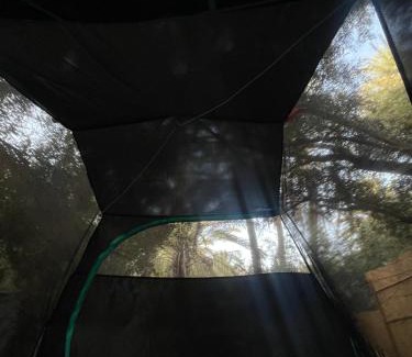 Aqesri Other | Afra Camp - Paradise Valley
