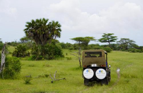 Selous Game Reserve Cabin | Africa Safari Nyerere