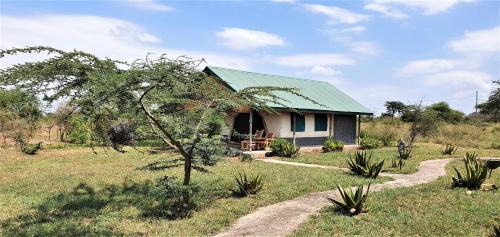 Serengeti National Park Cabin | Africa Safari Serengeti Ikoma