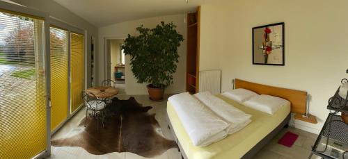 Foussemagne Apartment | Agora