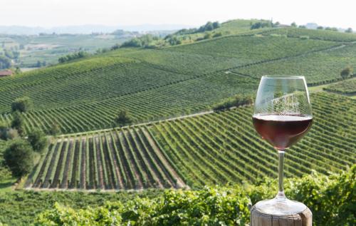 Nizza Monferrato House | Agriturismo Albarossa