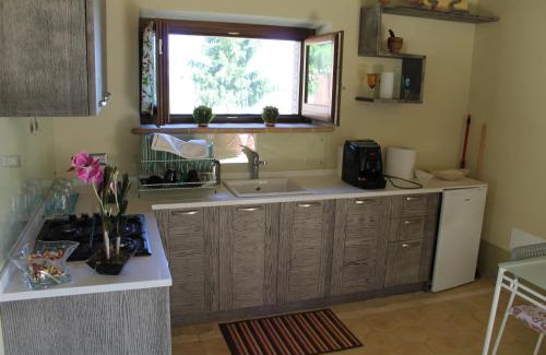 Orvieto House | Agriturismo Borgo Pirolino