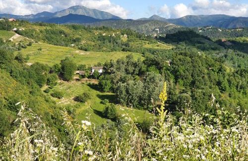 Lerma House | Agriturismo Il Burlino Apartments