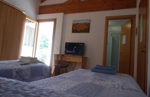 Vedelago House | Agriturismo il Podere Vedelago con San Bernardo, Alpaca e una Pentola di cose da scoprire