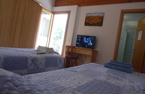 Vedelago House | Agriturismo il Podere Vedelago con San Bernardo, Alpaca e una Pentola di cose da scoprire