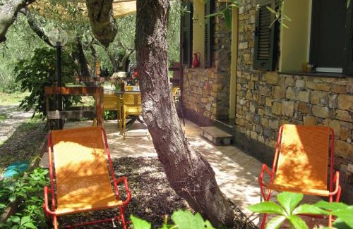 Gazzelli House | Agriturismo La Vigna
