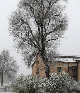 Fogliano Redipuglia Bed & Breakfast | Agriturismo Le Giarine
