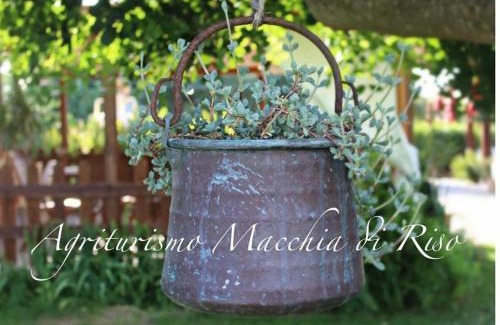 Rotondella Apartment | Agriturismo Macchia di Riso