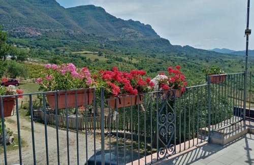 Monteforte Cilento House | Agriturismo Tre Morene