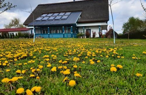 Gorgova House | Agropensiunea Beluga