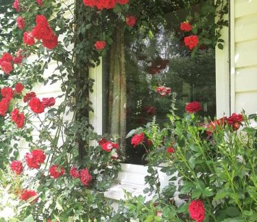 Ustka House | Agroturystyka GAGA