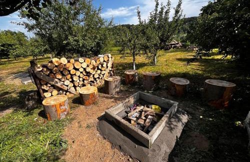 Lipova House | AgroVila ABEL
