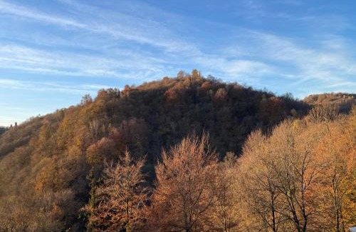 Camandona Bed & Breakfast | Ai 4 Gatti B&B
