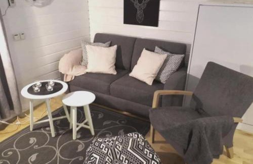 Yllasjarvi Apartment | Aikku cabin in the heart of Lapland, free Lapin Kota, Budget week