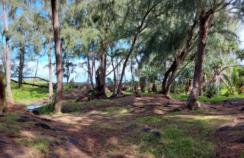 Ainaloa House | Ainaloa home of Big Island for double size bedroom