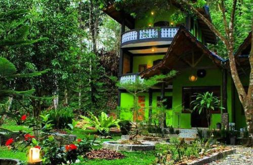 Bukit Lawang Apartment | Aini House