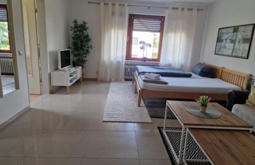 Lochbrucke Apartment | Airport Apartments Valentina
