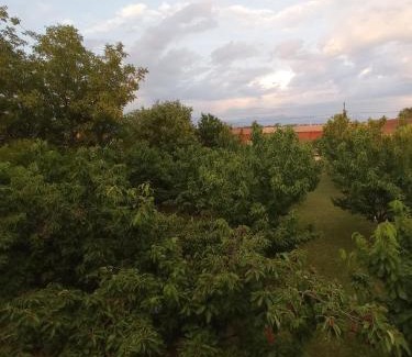 Mahala House | Airport home Radinovic