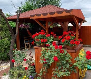 Vecses Bed & Breakfast | Airport16 bed and breakfast