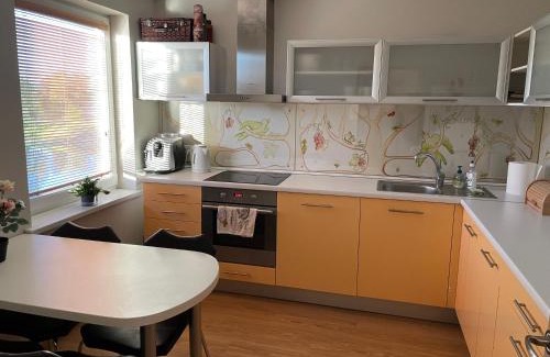 Idena Apartment | Aiviekstes krasts