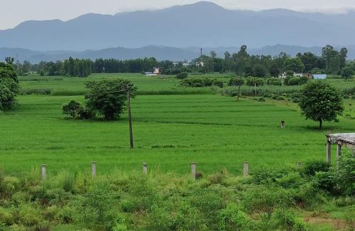 Bail Parao House | AK family Home Stay