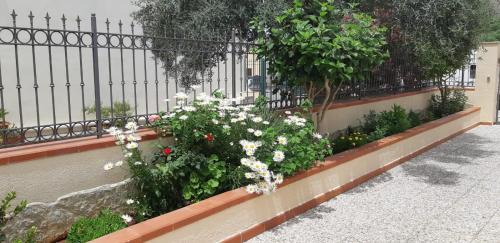Castelluzzo House | Al Civico 365