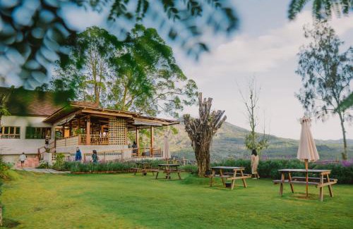 Kedisan Other | Alam Caldera Camp & Resto