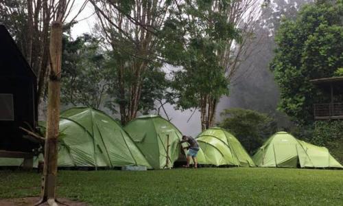 Java Other | ALAM RAYA CAMP
