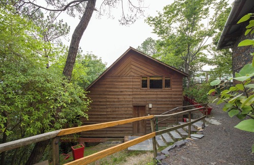 Kandaghat Ski Chalet | Alaya Stays Suro Woodbine Chalet Cottage