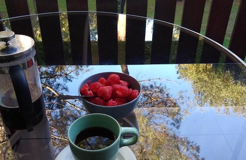 Moliets-et-Maa Apartment | Albertine appt 112