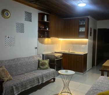 Shkoder County House | Aldo House