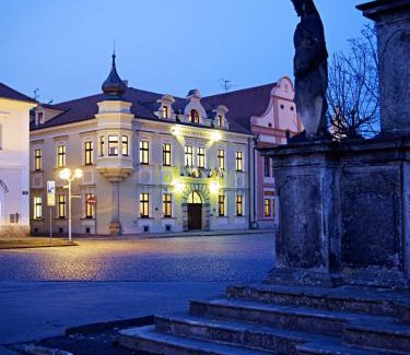 Stribro Hotel | Alexander