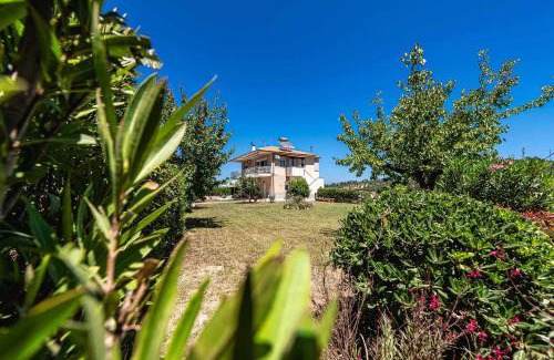 Paliouri Apartment | Alexandra's garden
