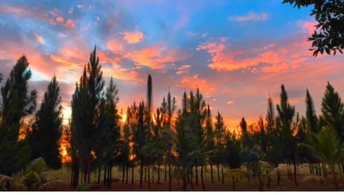 Manolo Fortich Villa | Alina Farm Resort